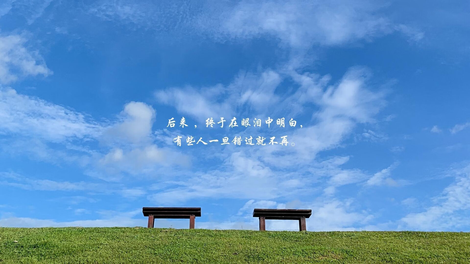 守望先锋世界联赛全面展开，团战策略极限挑战，守望先锋联赛世界杯