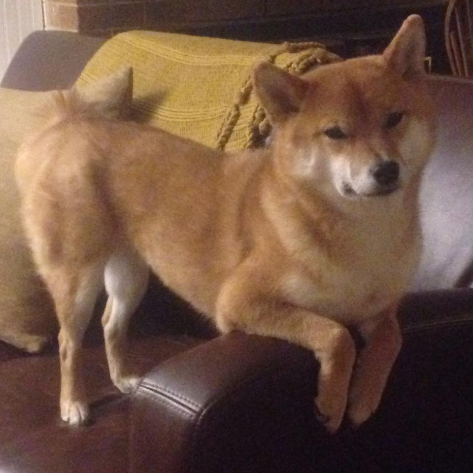 开云网页版-全国青少年“绿色未来”环保篮球赛事在昆明盛大举行，践行可持续发展理念