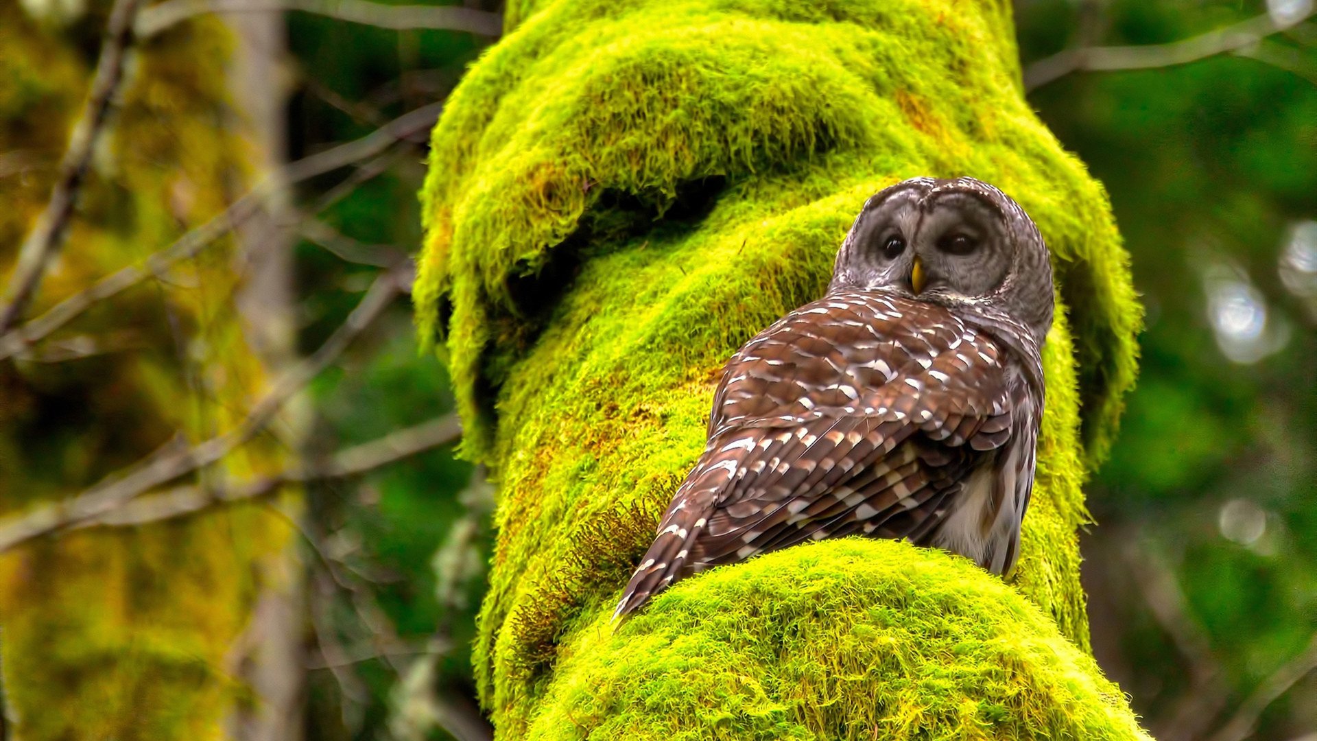 开云网站-战术大爆炸：一场比赛中不同战术的碰撞，战术爆破模式是什么