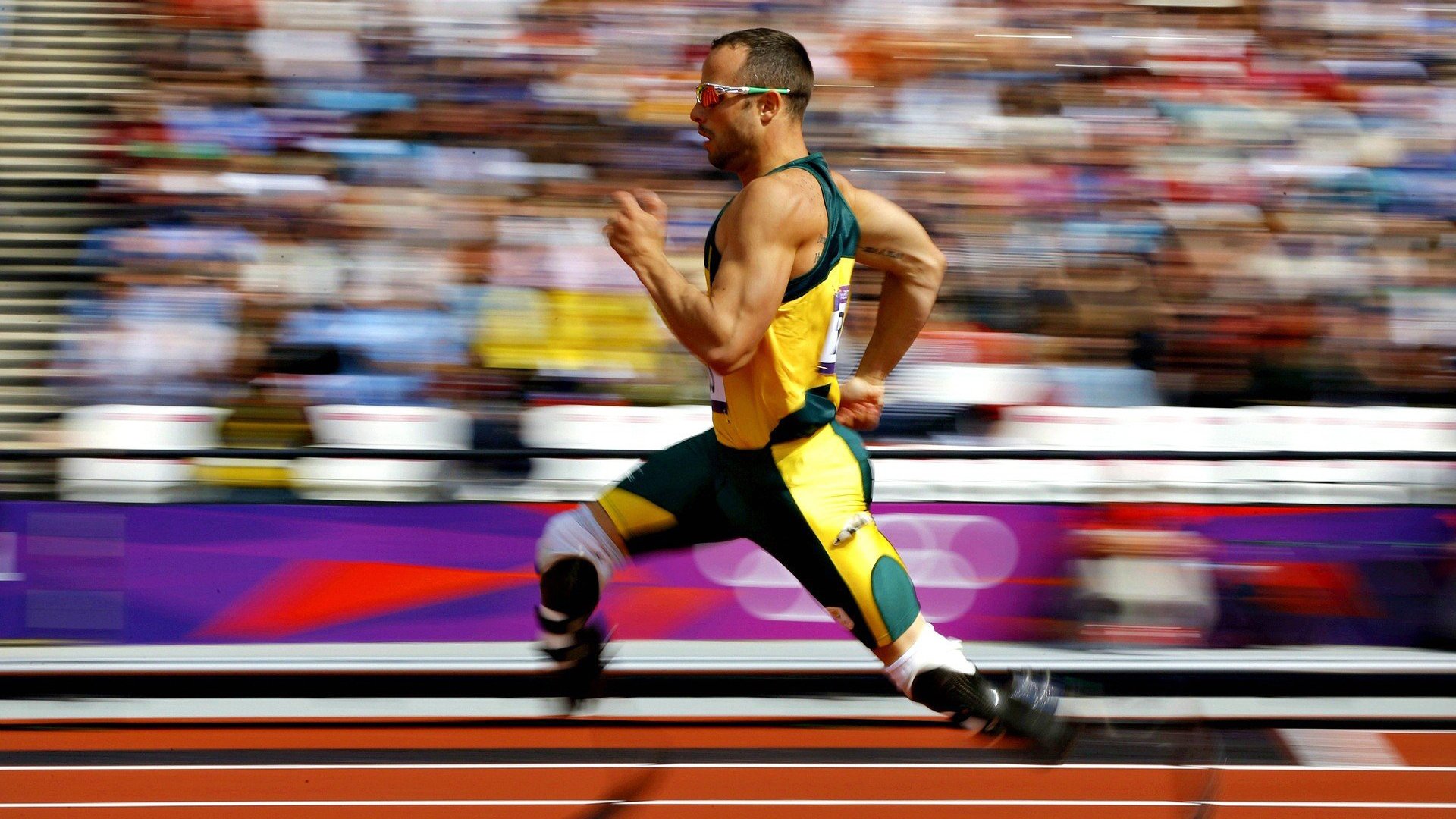 kaiyun.com-“美洲狮队：阿根廷橄榄球的崭新篇章”