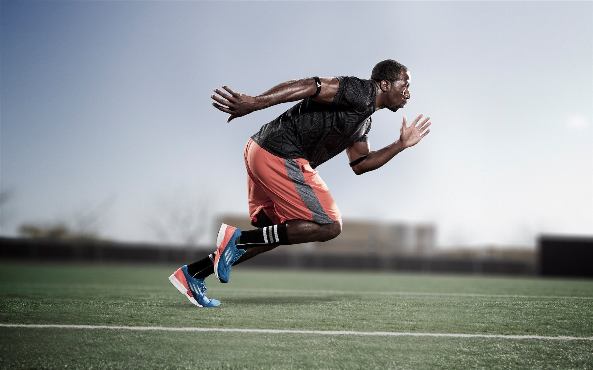 蝶泳冲刺荷兰选手爆发力十足，蝶泳系列教程